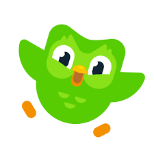 Duolingo Individual logo